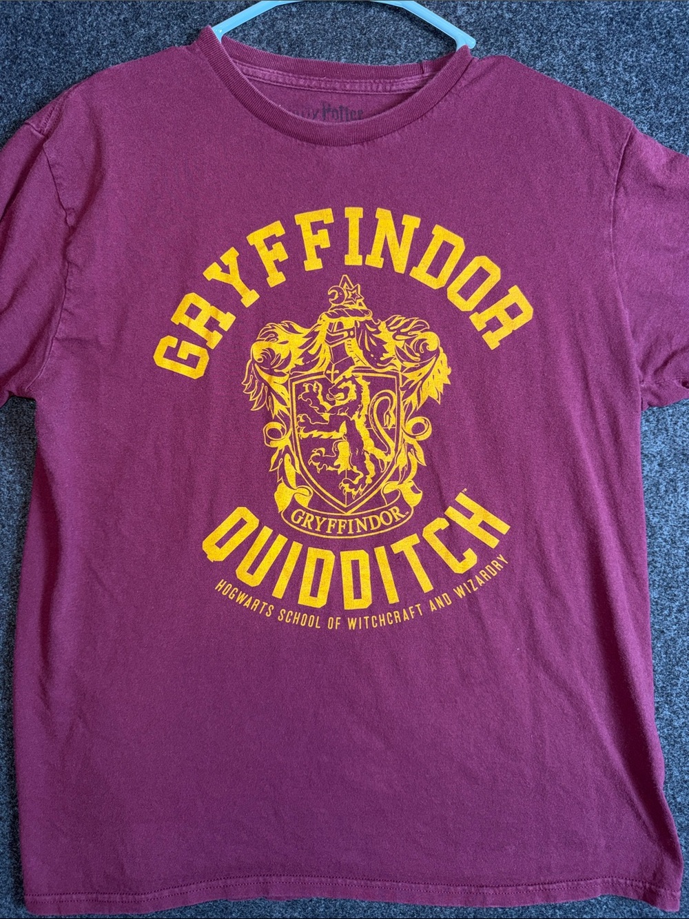 Harry Potter Kids Gryffindor Quidditch Graphic T-Shirt Maroon Yellow Short Sleev
